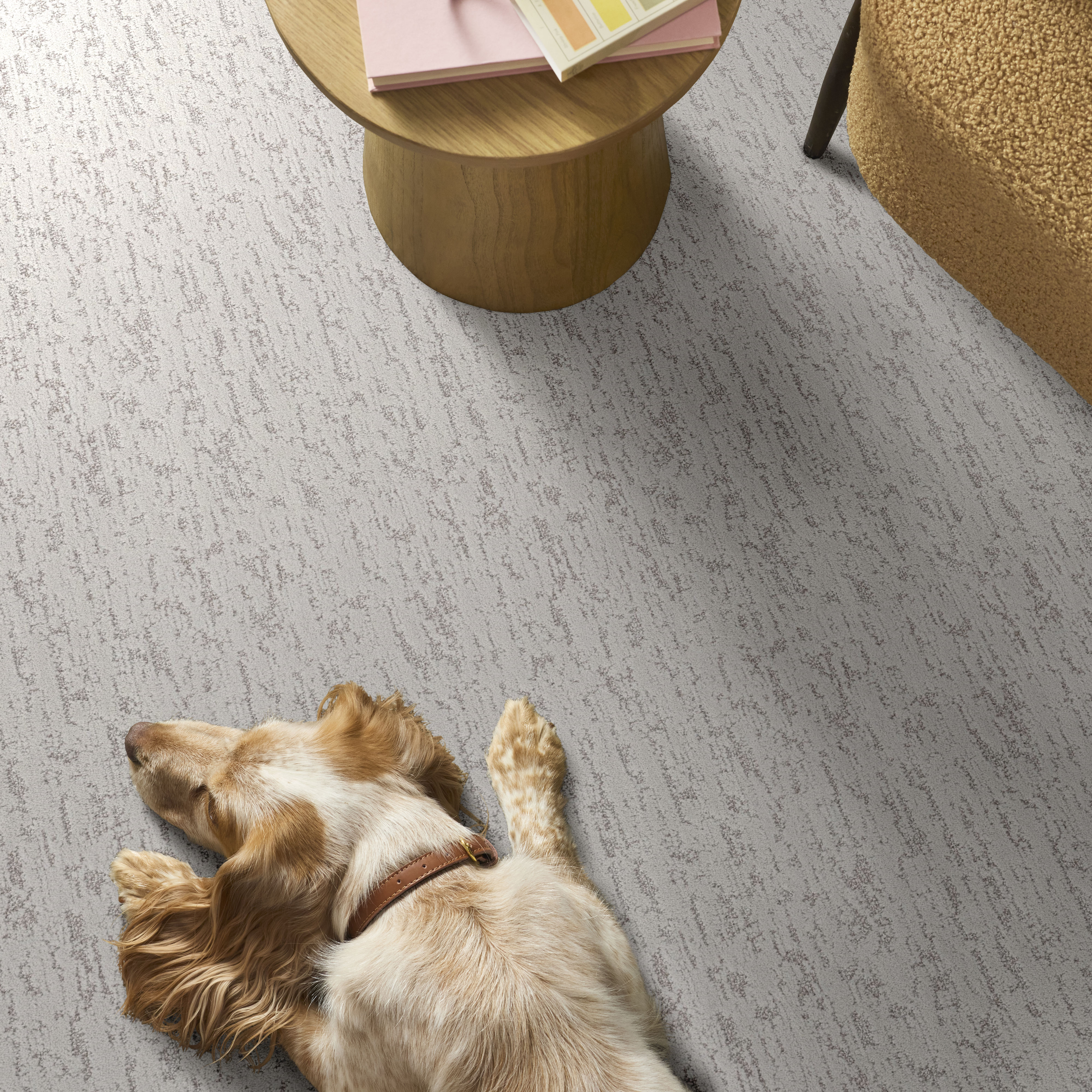 Calm Expression - Morning Mist Carpet | Shaw Floors